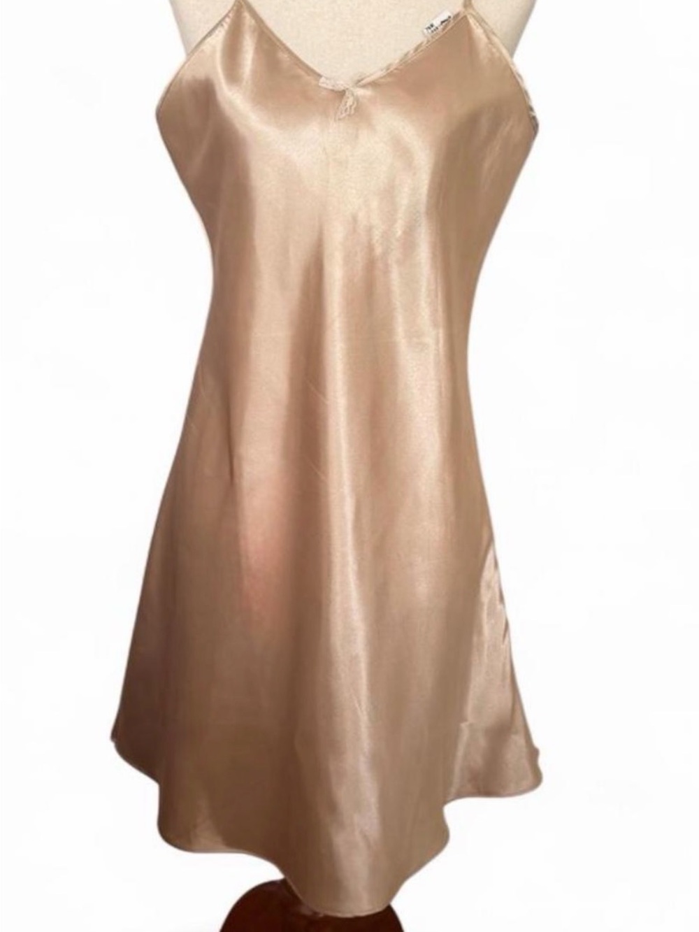 Vintage Rose Passion Champagne Slip Dress with Delicate Lace Trim L